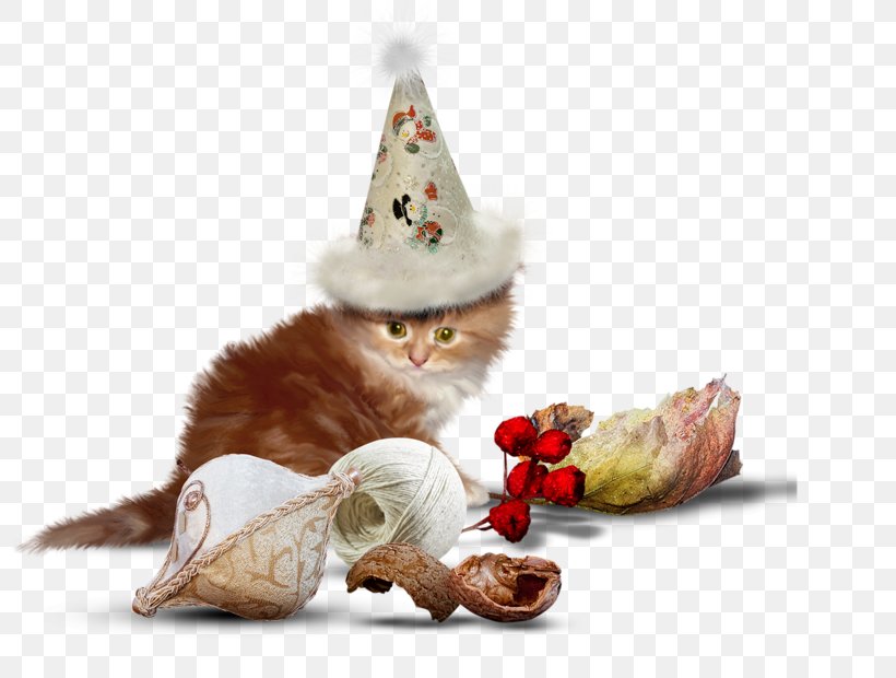 Cat Kitten Dog, PNG, 800x620px, Cat, Animal, Animation, Cat In The Hat, Christmas Download Free