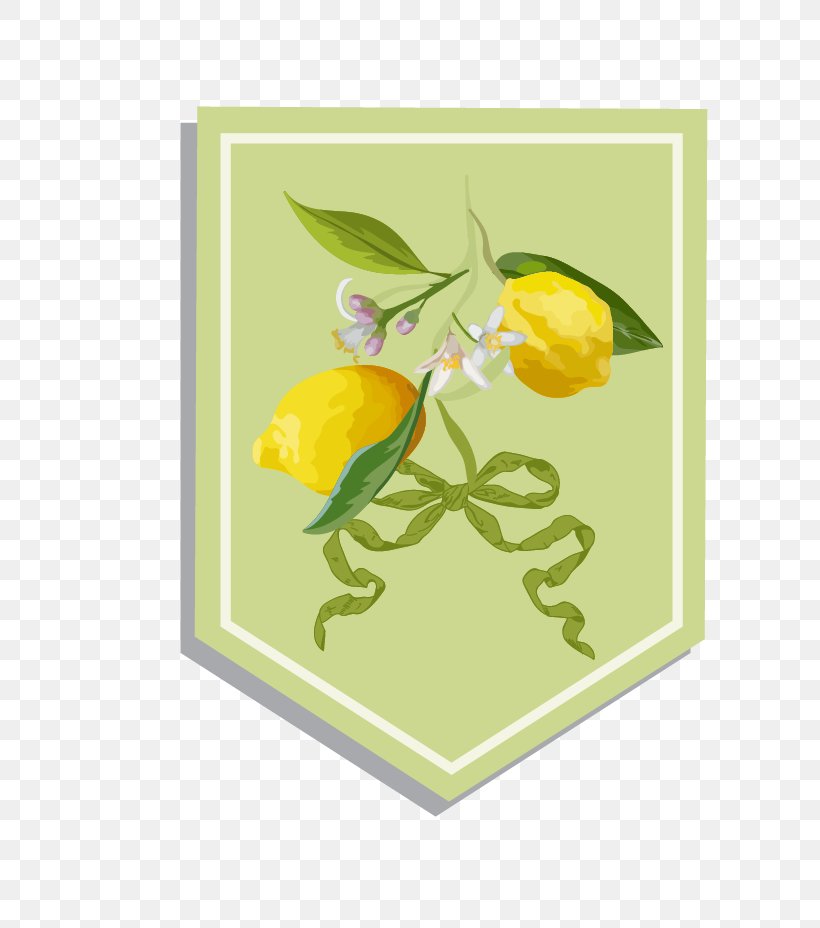 Lemon Illustration, PNG, 768x928px, Lemon, Display Resolution, Flower, Flowering Plant, Food Download Free