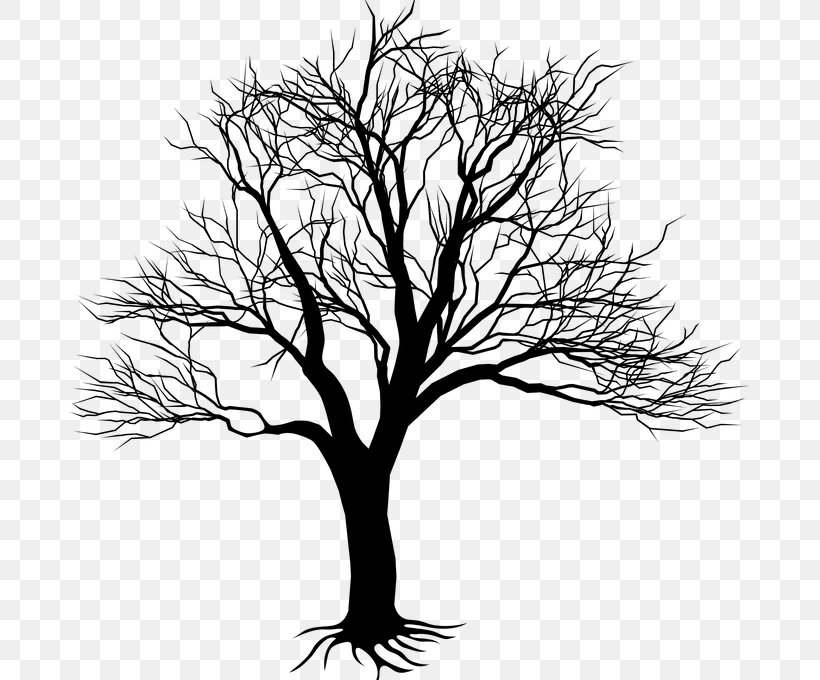 Vector Graphics Drawing Tree Stock Illustration, PNG, 680x680px, Drawing, Art, Blackandwhite, Botany, Branch Download Free