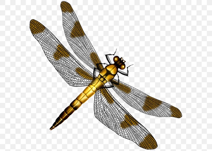 Butterfly Dragonfly Clip Art, PNG, 600x587px, Butterfly, Arthropod, Data, Dragonflies And Damseflies, Dragonfly Download Free
