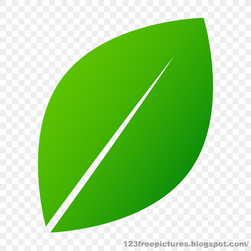 Circle Angle Plant, PNG, 1600x1600px, Plant, Grass, Green, Leaf Download Free