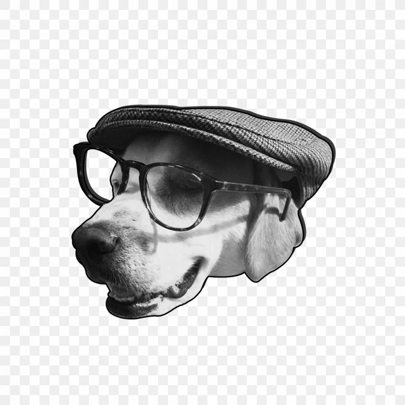 Glasses Dog Snout Goggles, PNG, 1200x1200px, Glasses, Blackandwhite, Canidae, Carnivore, Dog Download Free