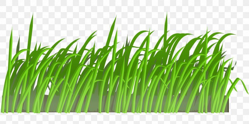 Lawn Clip Art, PNG, 1920x960px, Lawn, Artificial Turf, Commodity, Computer, Grass Download Free
