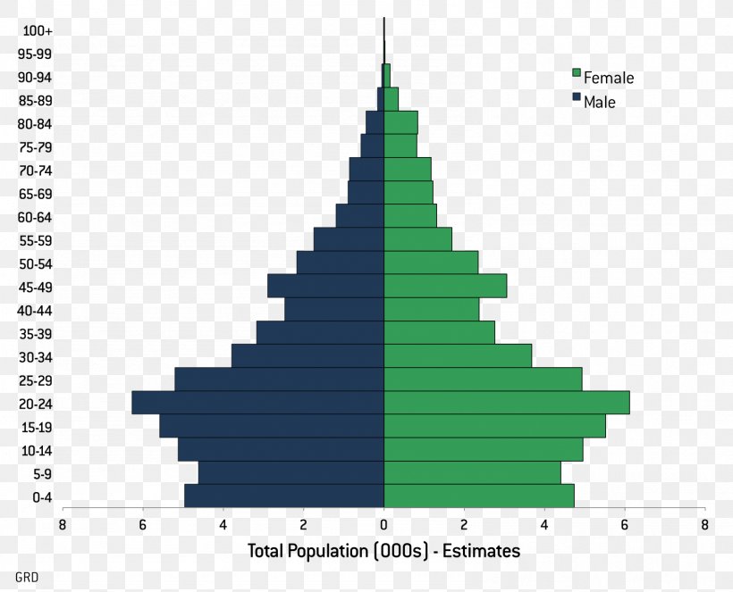 Population Pyramid Nicaragua Literacy Demography, PNG, 1588x1285px, Population, Christmas Tree, Cone, Country, Demographic Statistics Download Free