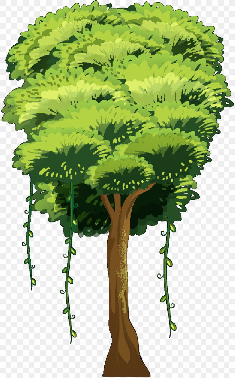 Vector Graphics Clip Art Tree Illustration, PNG, 1876x3011px, Tree, Botany, Drawing, Elm, Flower Download Free