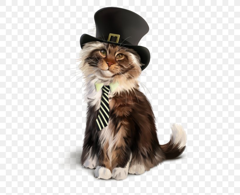 Saint Patricks Day, PNG, 600x667px, Cat, American Curl, Costume, Costume Accessory, Drawing Download Free