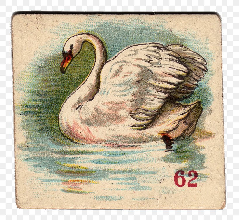 The Wild Swans Clip Art, PNG, 816x757px, Wild Swans, Beak, Bird, Canvas, Cygnini Download Free