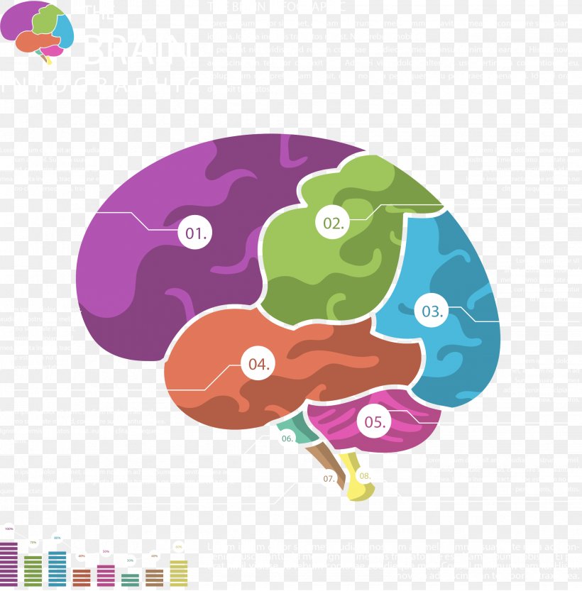 Infographic Brain Agy, PNG, 2057x2092px, Infographic, Agy, Brain, Cerebrum, Chart Download Free