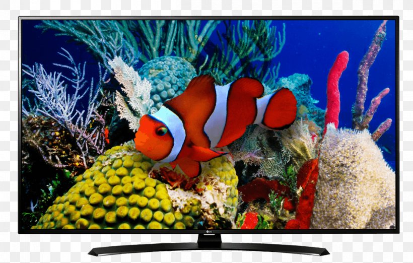 LG LH630V LED-backlit LCD 1080p Smart TV, PNG, 1200x764px, 4k Resolution, Ledbacklit Lcd, Advertising, Aquarium, Coral Download Free