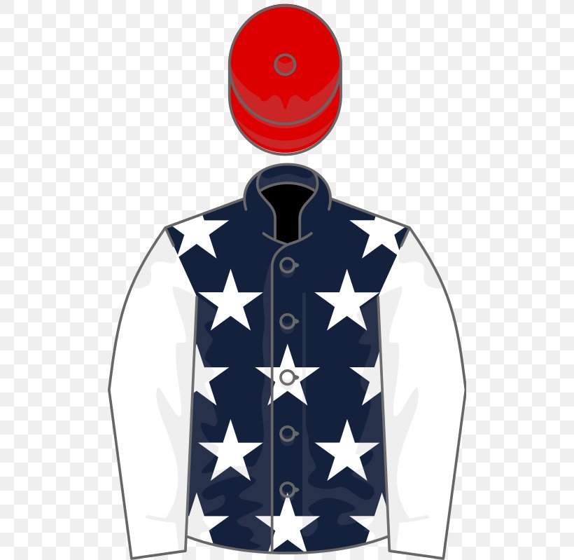 United States T-shirt Horse Houghton Mares' Chase Sleeve, PNG, 512x799px, United States, Clothing, Falmouth Stakes, Flag, Horse Download Free