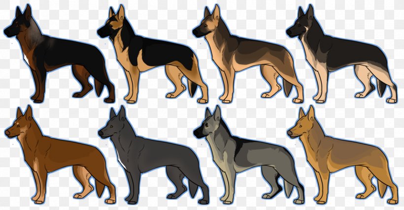 Ancient Dog Breeds German Shepherd Malinois Dog Border Collie, PNG, 1238x646px, Dog Breed, Alaskan Malamute, American Bully, Ancient Dog Breeds, Beauceron Download Free