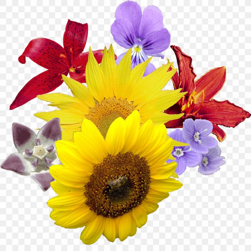 Flower Bouquet, PNG, 2124x2124px, Flower, Chrysanths, Cut Flowers, Daisy, Daisy Family Download Free