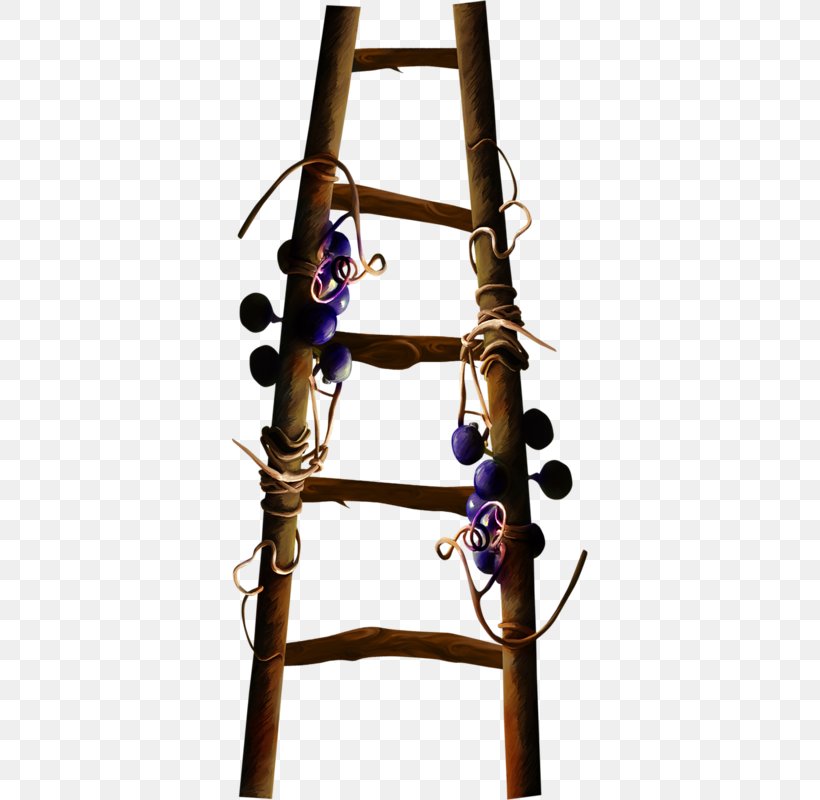 Ladder Wood Rope, PNG, 356x800px, Ladder, Color, Google Images, Harvest, Material Download Free