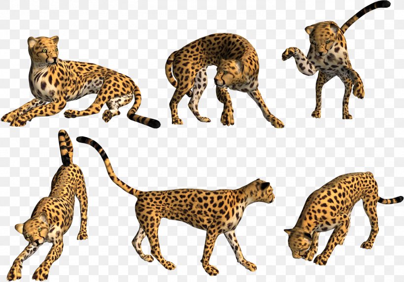 Leopard Asiatic Cheetah Mammal Carnivora, PNG, 1498x1049px, Leopard, Animal, Animal Figure, Asiatic Cheetah, Big Cat Download Free