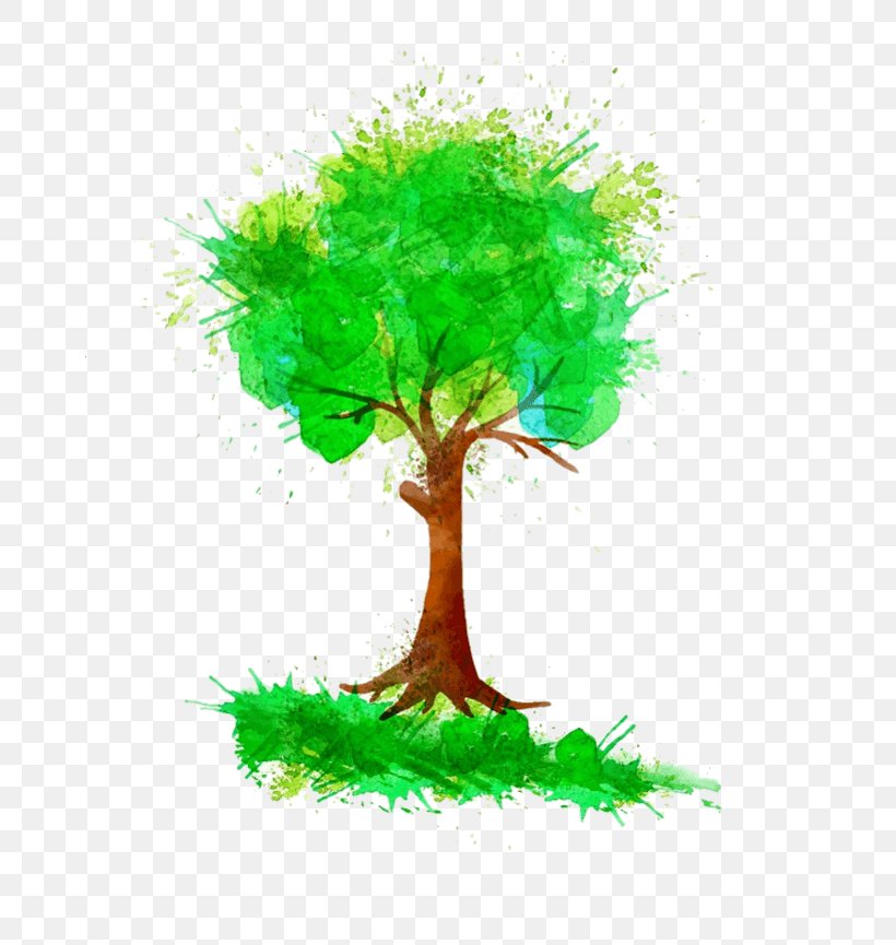 Tree Vector Graphics Watercolor Painting Image, PNG, 674x865px, Tree, Branch, Flowerpot, Grass, Green Download Free