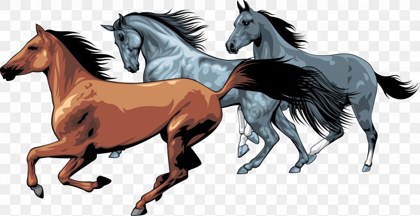 American Paint Horse Equestrian Clip Art, PNG, 5808x2995px, American Paint Horse, Bridle, Canter And Gallop, Colt, Equestrian Download Free