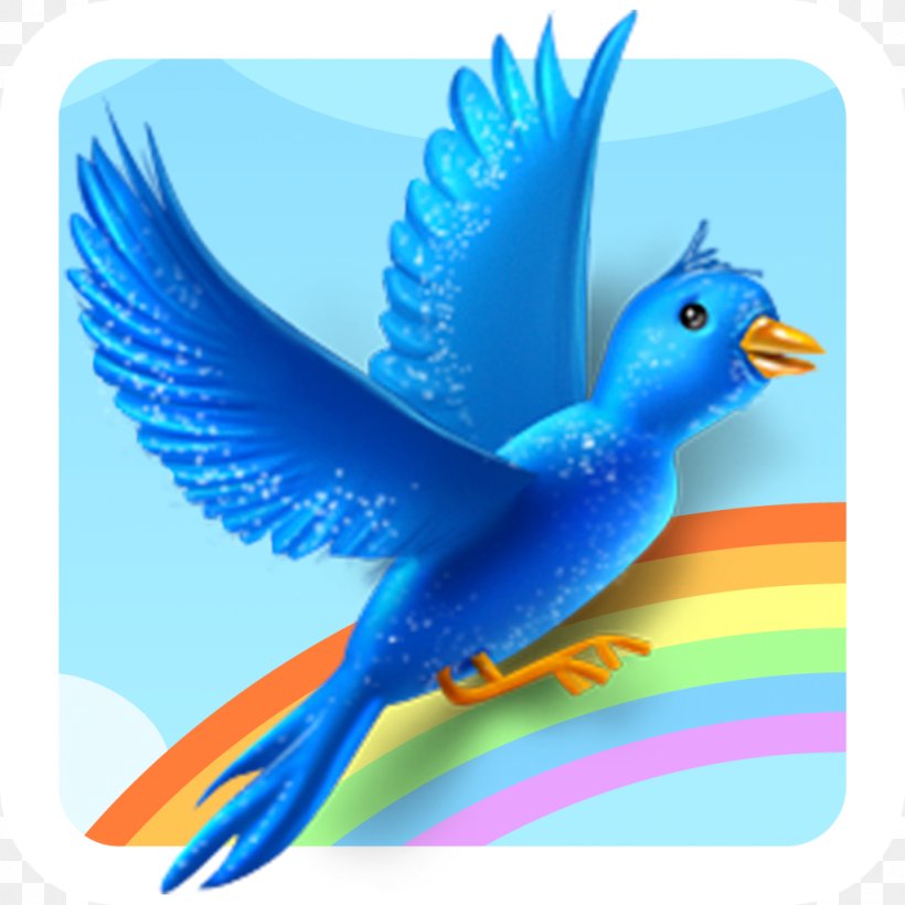 Bird, PNG, 1024x1024px, Bird, Animal, Beak, Bmp File Format, Fauna Download Free