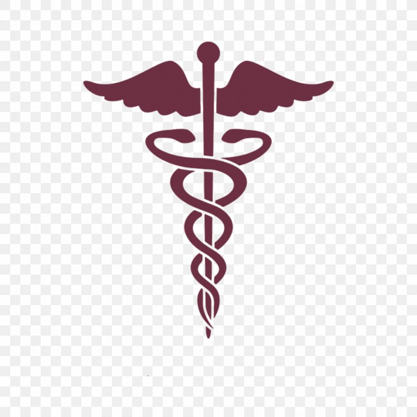 Doctor Symbol Clipart Allopathy - Doctor Ayurveda Logo Transparent PNG -  838x836 - Free Download on NicePNG