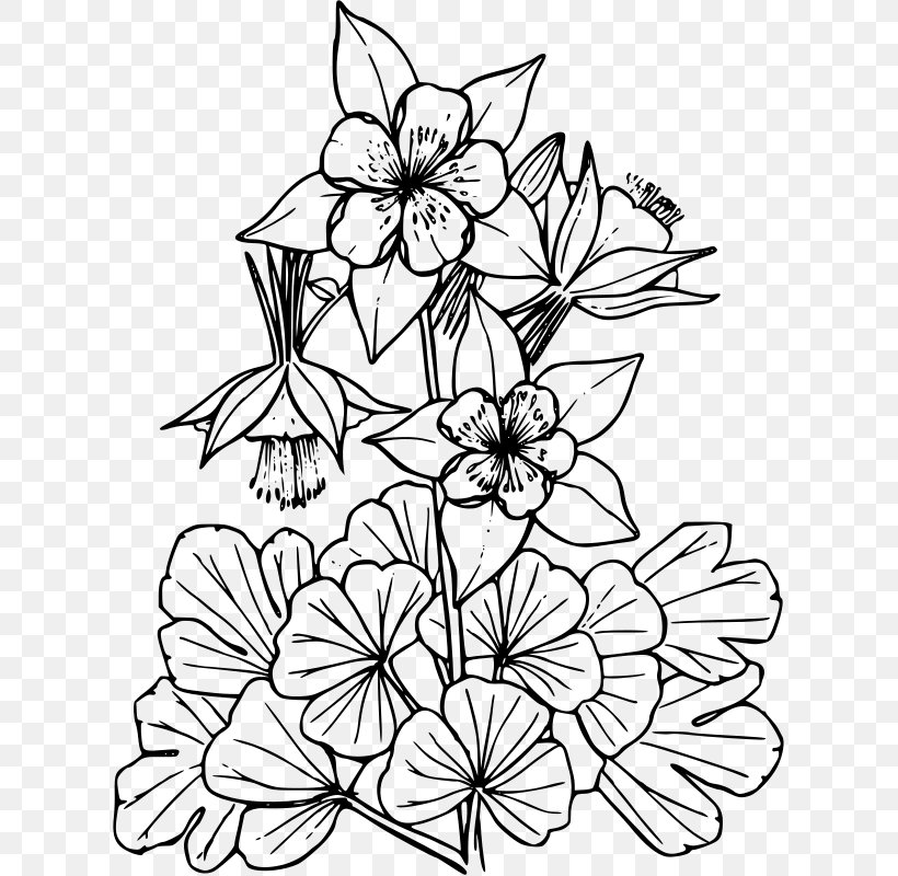 Colorado Blue Columbine Red Columbine Clip Art, PNG, 613x800px, Columbine, Black And White, Branch, Color, Colorado Download Free