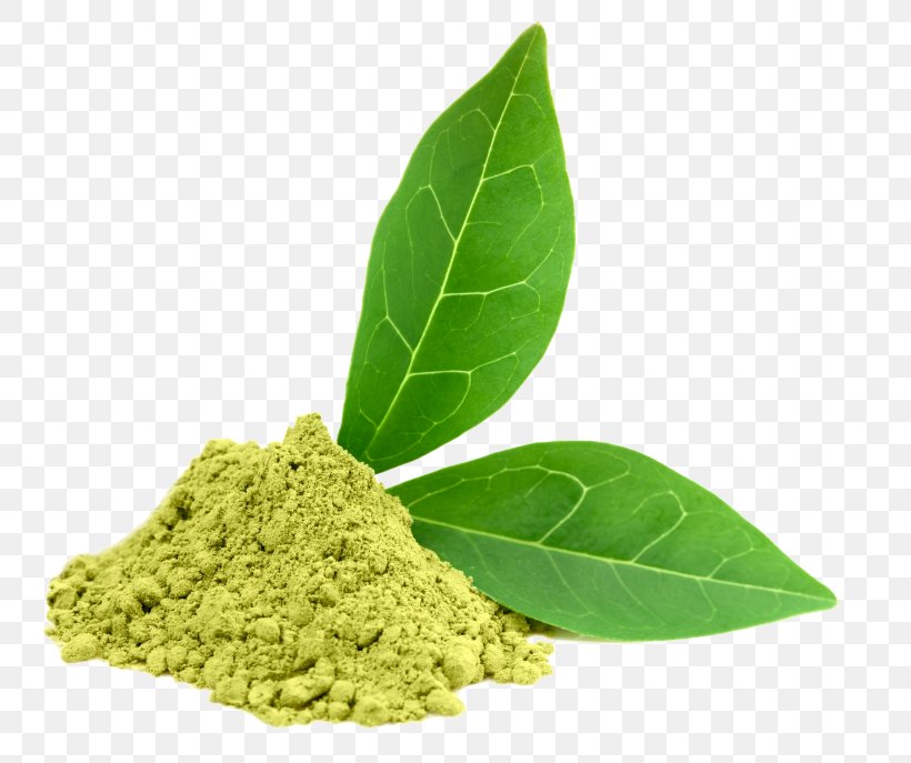 Green Tea Matcha Dietary Supplement Epigallocatechin Gallate, PNG, 768x687px, Green Tea, Catechin, Dietary Supplement, Epigallocatechin Gallate, Extract Download Free
