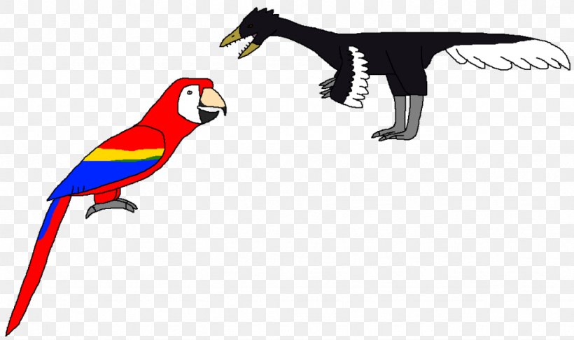 Macaw Beak Clip Art Fauna Line, PNG, 1024x608px, Macaw, Beak, Bird, Fauna, Parrot Download Free