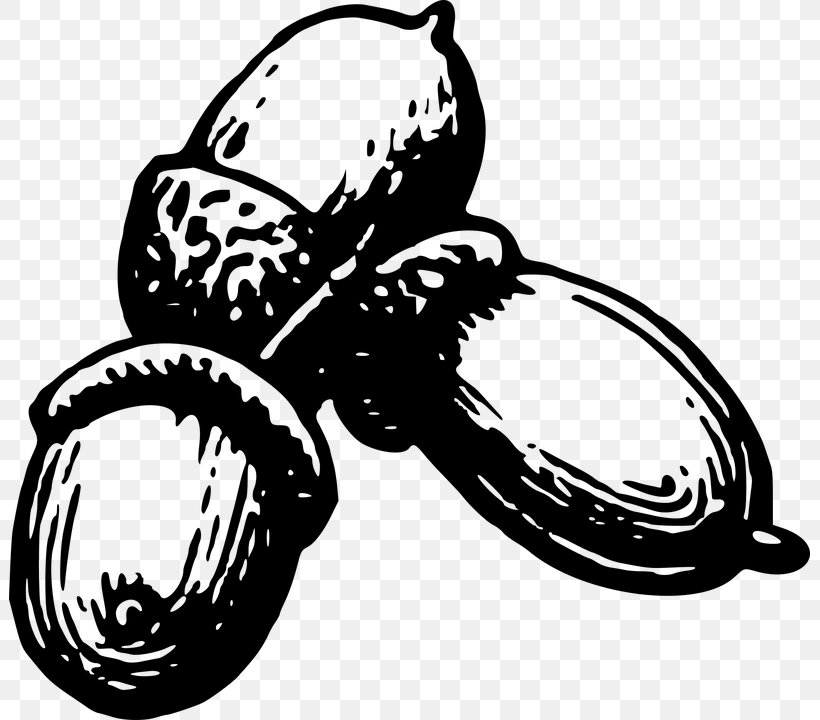 Acorn Seed Clip Art, PNG, 801x720px, Acorn, Artwork, Black And White, Food, Invertebrate Download Free