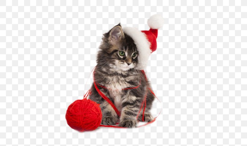 Cat Kitten Santa Claus Christmas Puppy, PNG, 600x485px, Iphone 6 Plus, Carnivoran, Cat, Cat Like Mammal, Christmas Download Free