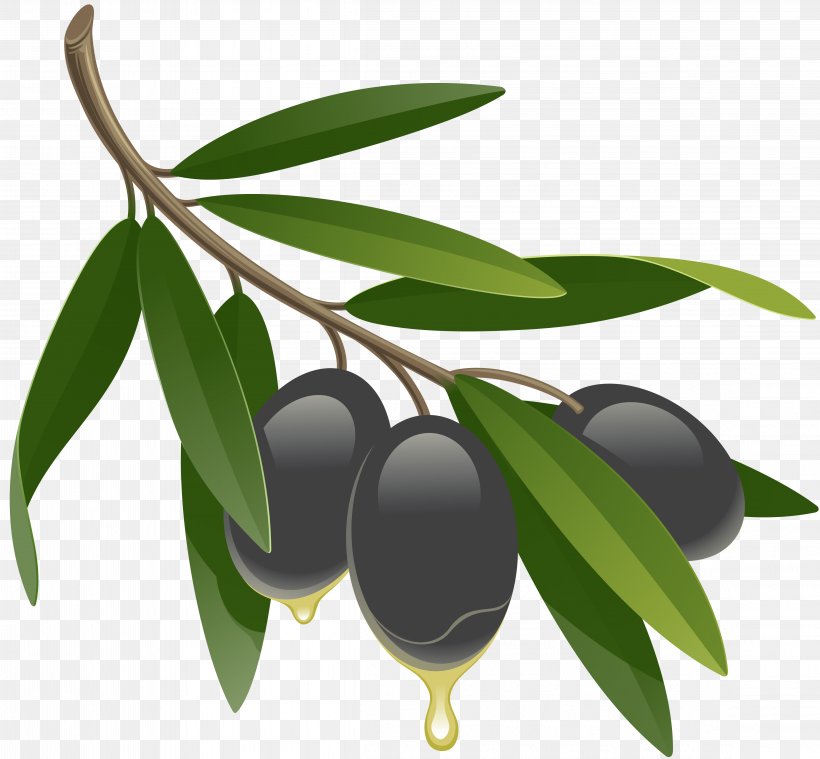Dakos Olive Oil Pickled Cucumber, PNG, 4593x4253px, Dakos, Branch, Food, Fruit, Ingredient Download Free