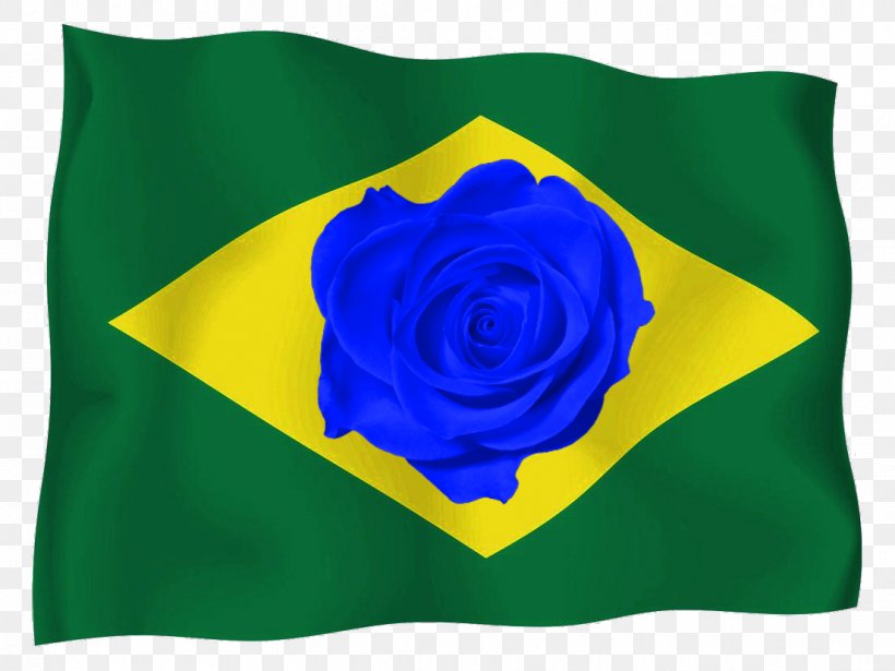 Garden Roses Flag Of Brazil, PNG, 1105x829px, Garden Roses, Blue, Brazil, Cobalt Blue, Electric Blue Download Free