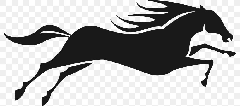 Horse&Rider Clip Art, PNG, 796x364px, Horse, Art, Black, Black And White, Carnivoran Download Free