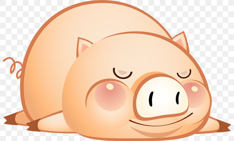Domestic Pig Clip Art Chinese New Year Chinese Zodiac, PNG, 800x497px, 2019, Pig, Cartoon, Cheek, Chinese New Year Download Free