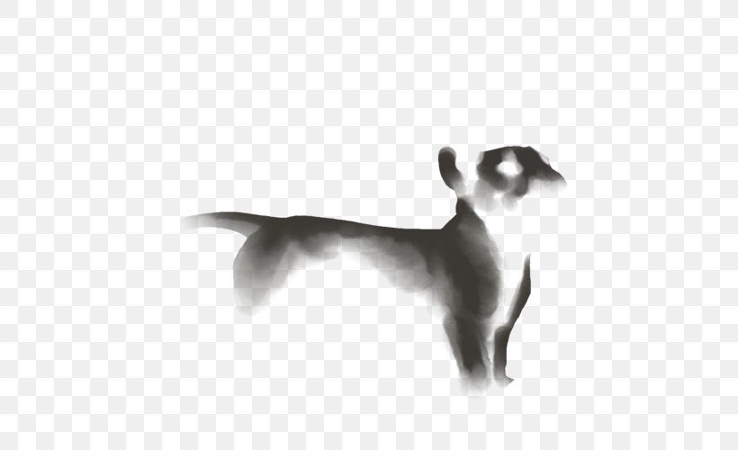 Whiskers Italian Greyhound Cat Dog Breed, PNG, 640x500px, Whiskers, Black And White, Breed, Carnivoran, Cat Download Free