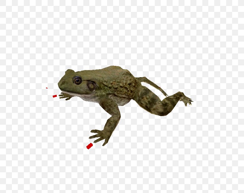 Zoo Tycoon Toad True Frog Amphibian, PNG, 750x650px, Zoo Tycoon, Amphibian, Animal, Animal Figure, Blue Fang Games Download Free