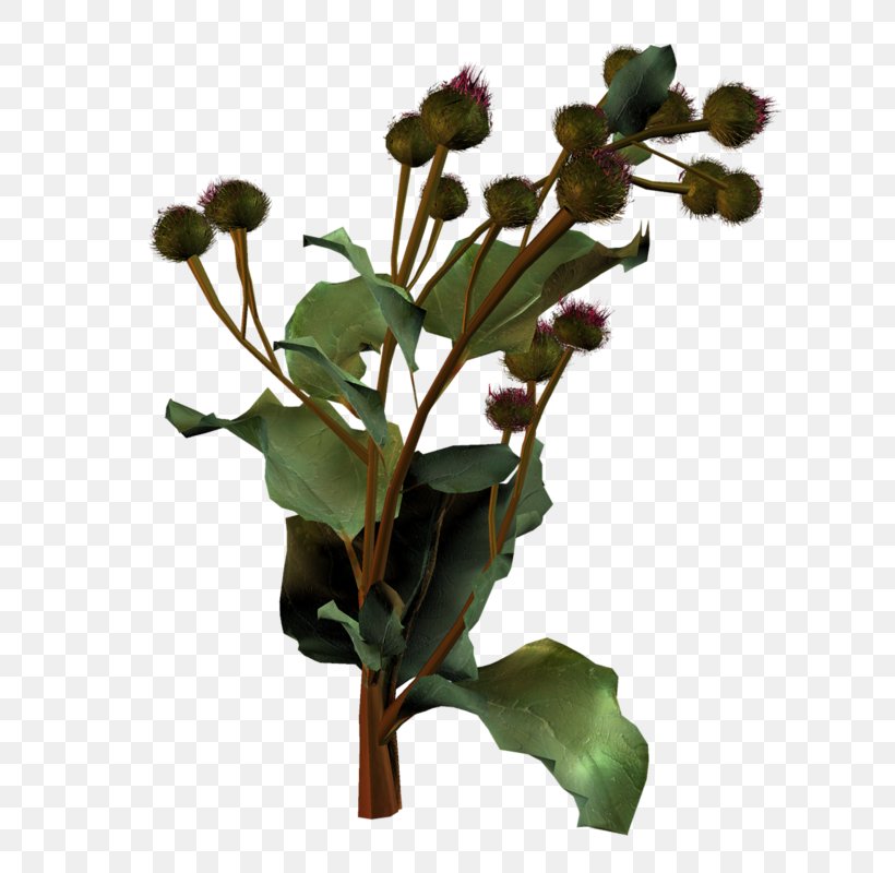 Flowerpot Plant Stem Leaf Flowering Plant, PNG, 665x800px, Flower, Branch, Branching, Flowering Plant, Flowerpot Download Free