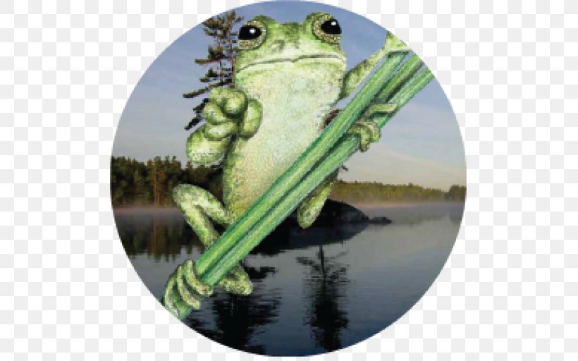 True Frog Leadership Curriculum Knowledge, PNG, 512x512px, True Frog, Amphibian, Curriculum, Fauna, Frog Download Free