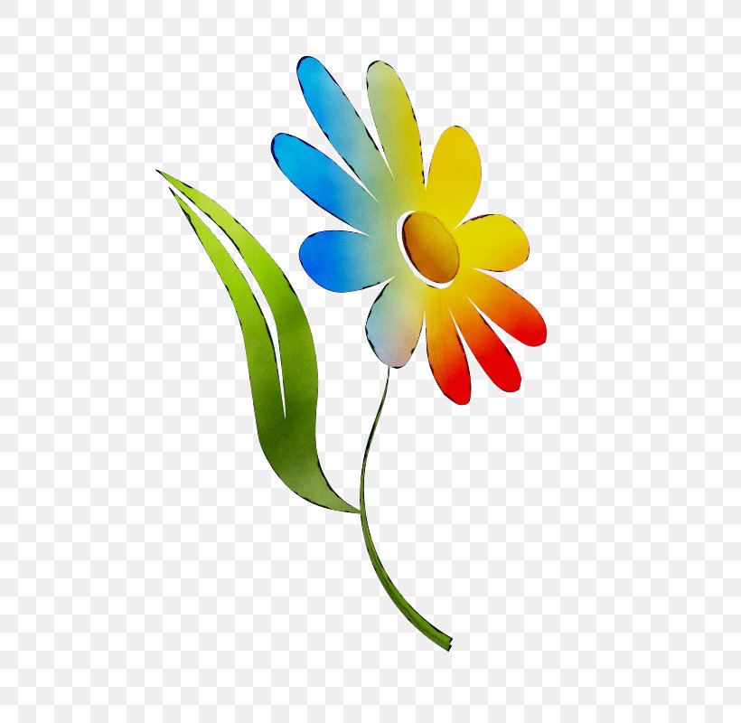 Video Cut Flowers Clip Art Hashtag, PNG, 566x800px, Video, Botany, Chamomile, Cut Flowers, Daisy Download Free
