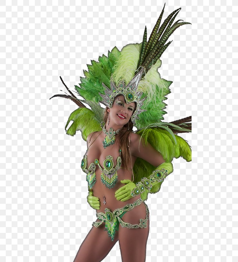 Carnival Samba Vedette Dancer Comparsa, PNG, 500x900px, Carnival, Ballet Flat, Batucada, Carnivalesque, Clothing Download Free