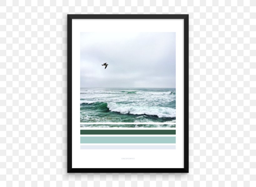 Picture Frames Poster Photography, PNG, 600x600px, Picture Frames, Beach, Color, Distillation, Mirror Download Free