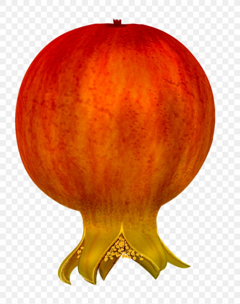 Pomegranate Clip Art, PNG, 900x1143px, Pomegranate, Apple, Calabaza, Creative Market, Cucurbita Download Free