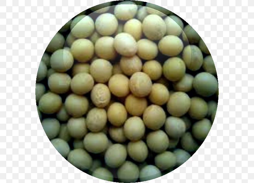 Soy Milk Soybean Meal Seed Oil, PNG, 592x592px, Soy Milk, Bean, Cereal, Commodity, Food Download Free