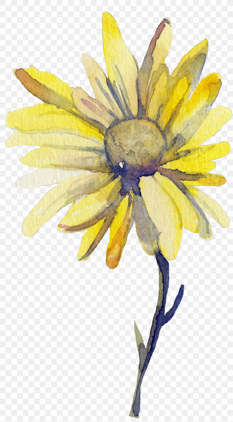 Sunflower, PNG, 988x1786px, Flower, Blackeyed Susan, Petal, Plant, Sunflower Download Free