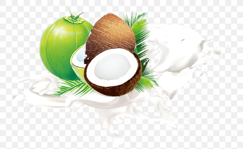 Coconut Milk Fruit Leaf, PNG, 1842x1134px, Coconut Milk, Auglis, Brand, Coconut, Coconut Oil Download Free