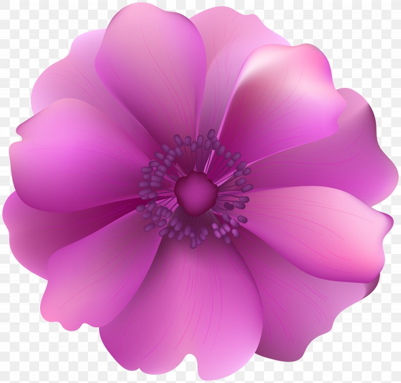Clip Art, PNG, 5000x4786px, Flower, Art, Blue Rose, Flowering Plant, Garden Roses Download Free