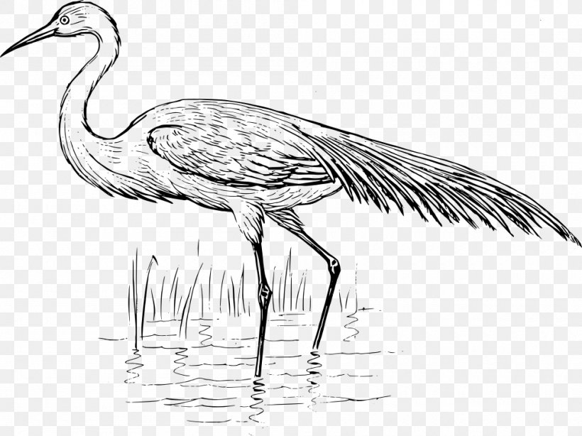 Heron Bird Crane Great Egret, PNG, 1000x749px, Heron, Beak, Bird, Black And White, Cattle Egret Download Free