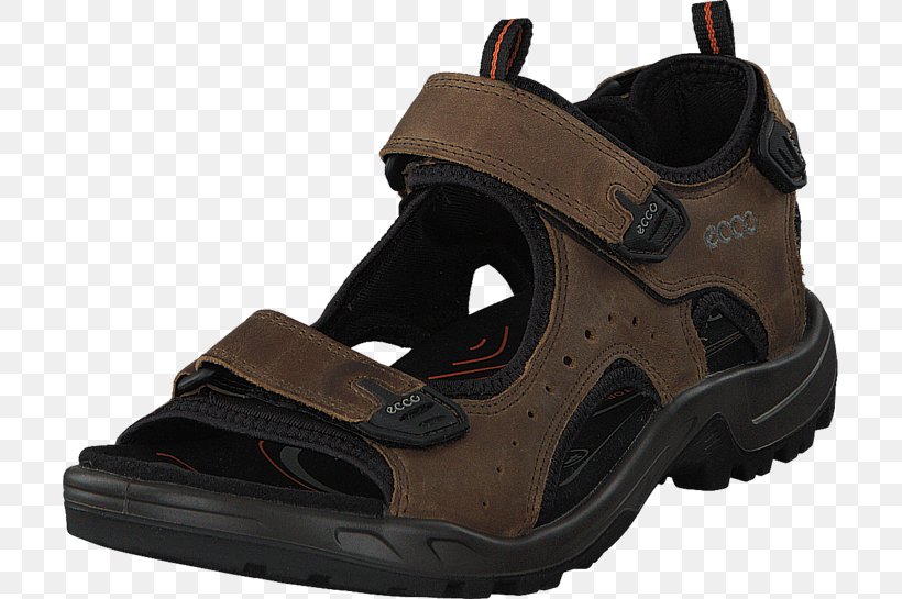 Slipper Sandal ECCO Shoe Crocs, PNG, 705x545px, Slipper, Adidas Sandals, Clothing, Crocs, Cross Training Shoe Download Free