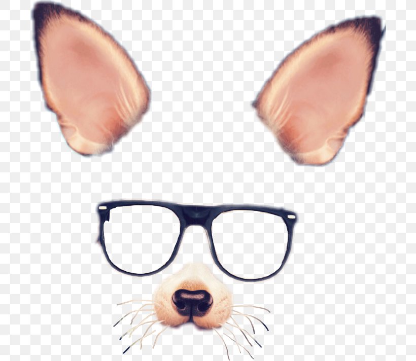 Spectacles Snapchat Photographic Filter, PNG, 702x712px, Spectacles, Carnivoran, Dog Like Mammal, Ear, Eyewear Download Free