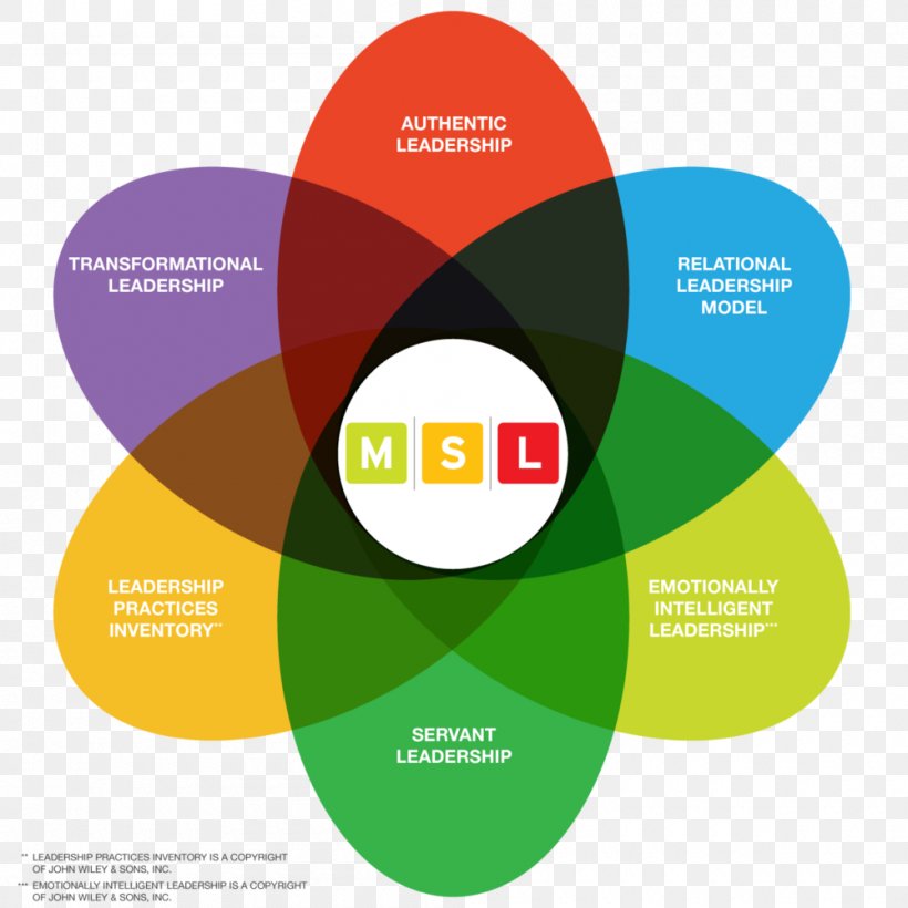 Three Levels Of Leadership Model Servant Leadership Conceptual Framework Leadership Development, PNG, 1000x1000px, Leadership, Brand, Communication, Concept, Conceptual Framework Download Free