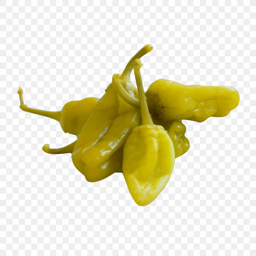 Habanero Jalapeño Peperoncino Peppers Bell Pepper, PNG, 1300x1300px, Habanero, Bell Pepper, Bell Peppers And Chili Peppers, Chili Pepper, Food Download Free