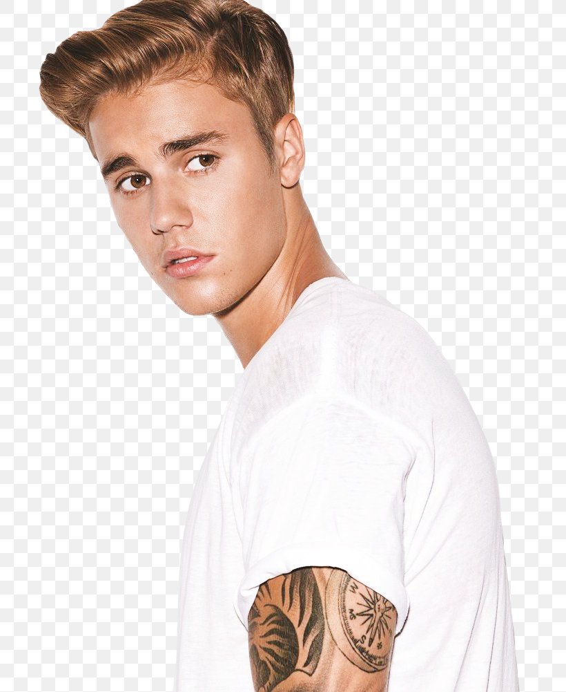 Justin Bieber Purpose World Tour Concert Musician Png 780x1001px