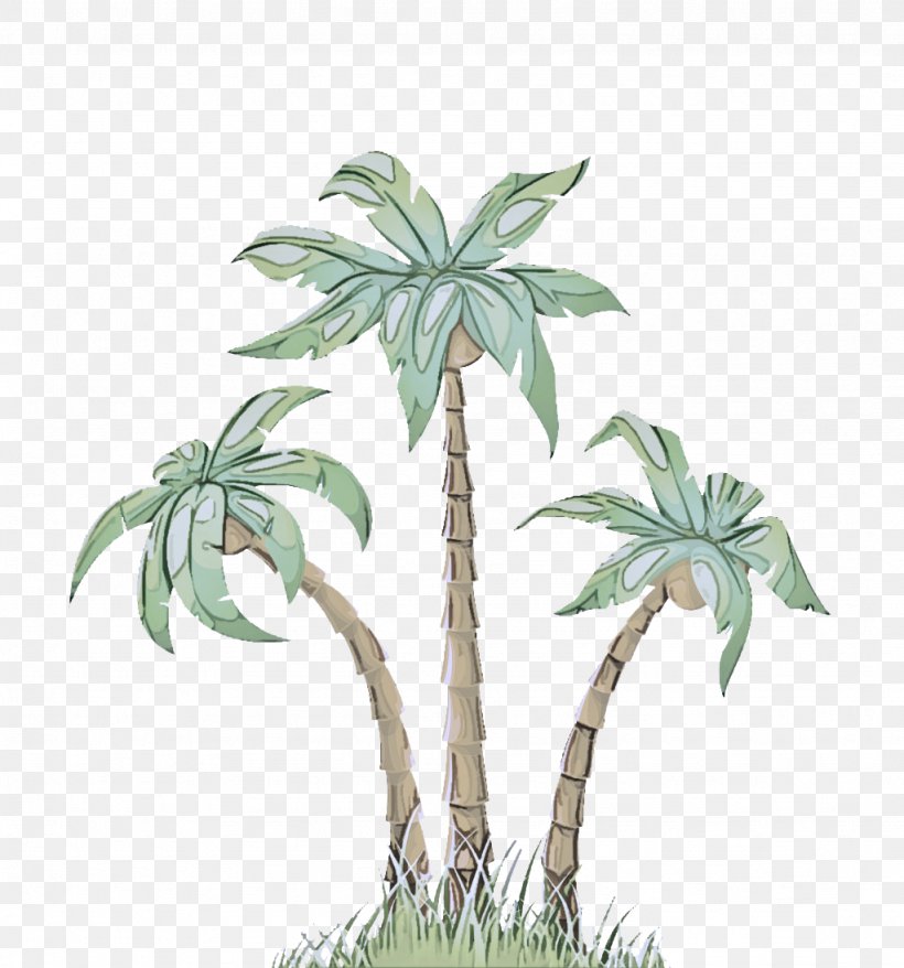 Palm Tree, PNG, 1024x1097px, Tree, Arecales, Flower, Houseplant, Leaf Download Free